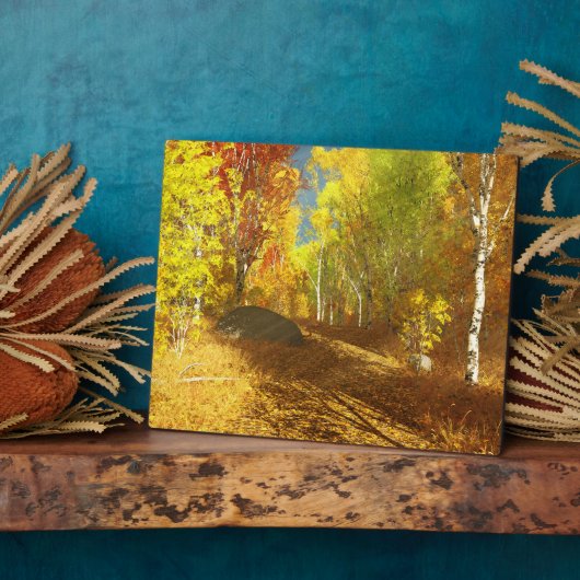 Ventilatorlicht Afbeelding Plaque Fotoplaat (Zijkant)