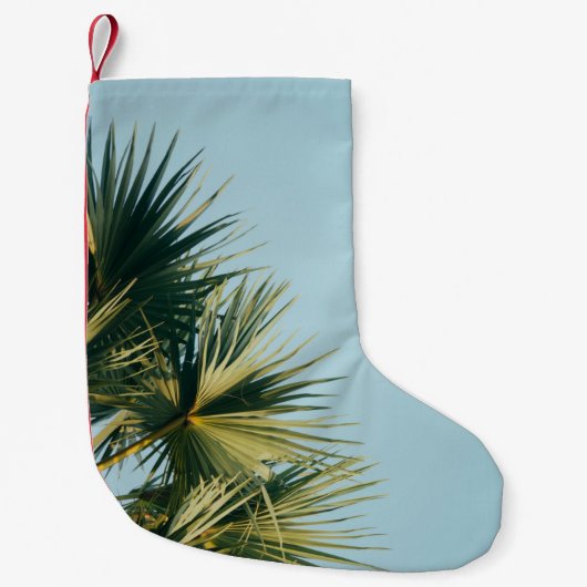 Ventilatorpalm onder blauwe hemel kleine kerstsok (Voorkant)