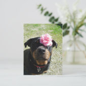 ventilatorrottweiler briefkaart (Staand voorkant)