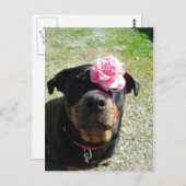 ventilatorrottweiler briefkaart (Voorkant / Achterkant)