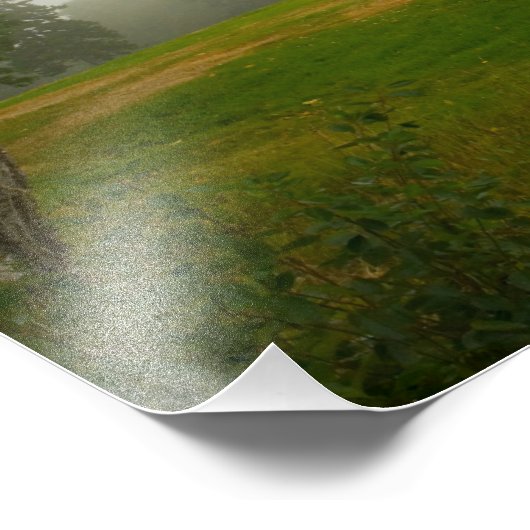 Ventilatorverlichting, Maine Foto Afdruk (Hoek)