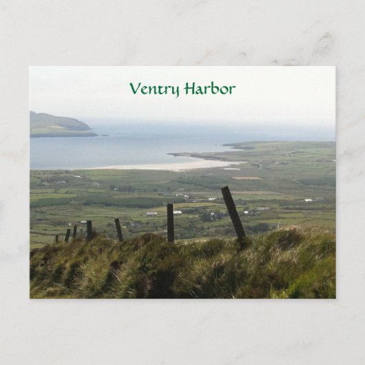 Ventry Harbor, Dingle, Kerry, Ireland Briefkaart (Voorkant)
