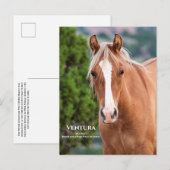 Ventura-Briefkaart Briefkaart (Voorkant / Achterkant)