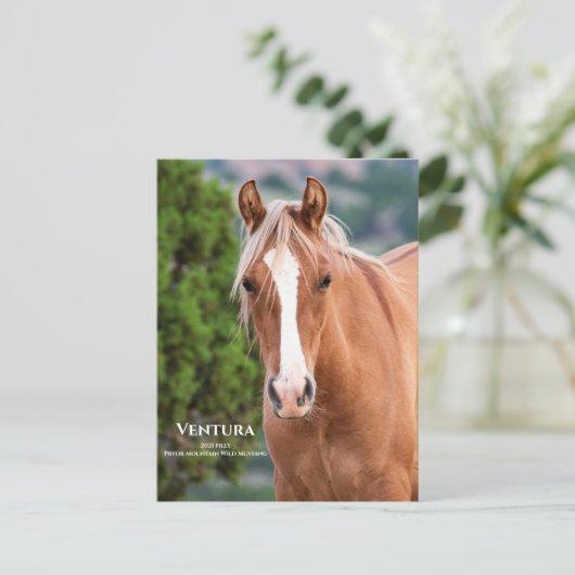 Ventura-Briefkaart Briefkaart (Staand voorkant)