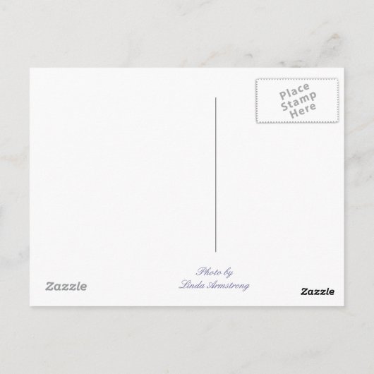 Ventura Dunes en Pier Travel Briefkaart