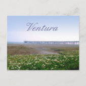 Ventura Dunes en Pier Travel Briefkaart (Voorkant)