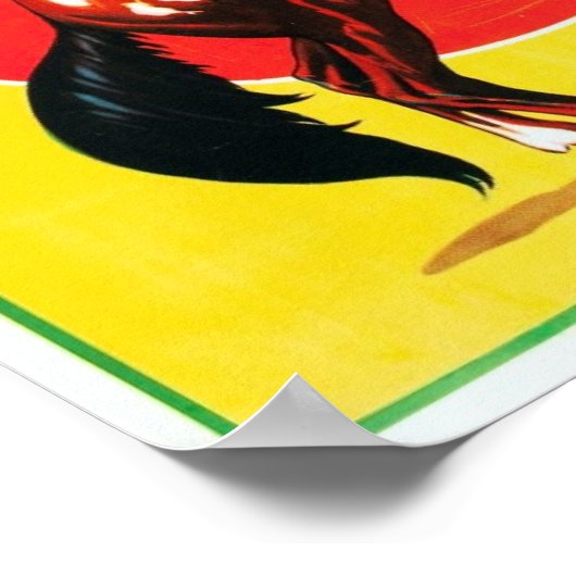 Ventura Rodeo, 1933.  Adverteren Poster (Hoek)