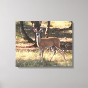 Ventveldoek Canvas Afdruk