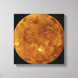 Venus 2 canvas afdruk