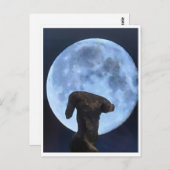 Venus and the Moon Briefkaart (Voorkant / Achterkant)