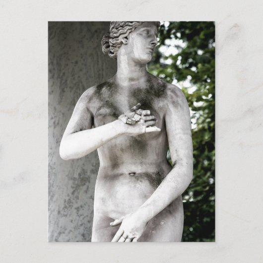 Venus Briefkaart (Voorkant)