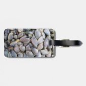 Venus Clam [ห อ ล า ย ย) Bagagelabel (Achterkant horizontaal)