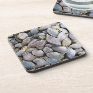 Venus Clam [ห อ ล า ย ย) Bier Onderzetter