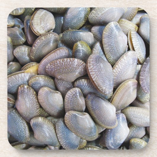 Venus Clam [ห อ ล า ย ย) Bier Onderzetter (Voorkant)