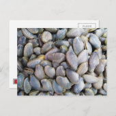 Venus Clam [ห อ ล า ย ย) Briefkaart (Voorkant / Achterkant)