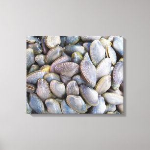 Venus Clam [ห อ ล า ย ย) Canvas Afdruk