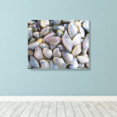 Venus Clam [ห อ ล า ย ย) Canvas Afdruk (Insitu (Houten vloer))