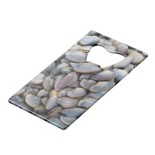 Venus Clam [ห อ ล า ย ย) Creditkaart Flessenopener