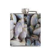 Venus Clam [ห อ ล า ย ย) Heupfles (Achterkant)