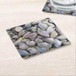 Venus Clam [ห อ ล า ย ย) Kartonnen Onderzetters