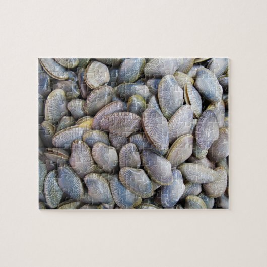 Venus Clam [ห อ ล า ย ย) Legpuzzel (Horizontaal)