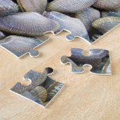 Venus Clam [ห อ ล า ย ย) Legpuzzel (Zijkant)