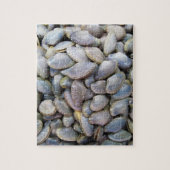 Venus Clam [ห อ ล า ย ย) Legpuzzel (Verticaal)