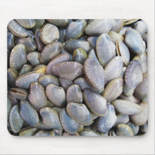 Venus Clam [ห อ ล า ย ย) Muismat