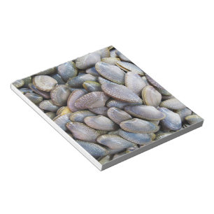 Venus Clam [ห อ ล า ย ย) Notitieblok