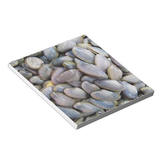 Venus Clam [ห อ ล า ย ย) Notitieblok (Schuin)