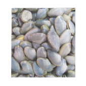 Venus Clam [ห อ ล า ย ย) Notitieblok (Voorkant)