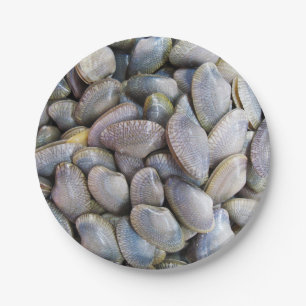 Venus Clam [ห อ ล า ย ย) Papieren Bordje