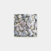 Venus Clam [ห อ ล า ย ย) Post-it® Notes (Voorkant)