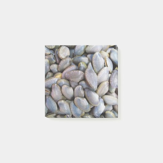 Venus Clam [ห อ ล า ย ย) Post-it® Notes (Voorkant)