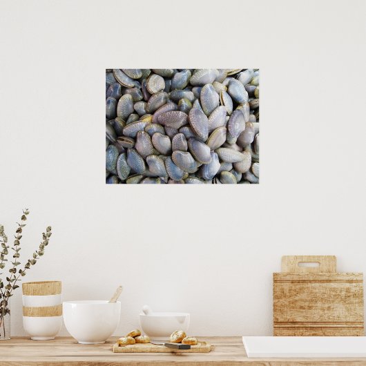 Venus Clam [ห อ ล า ย ย) Poster (Keuken)