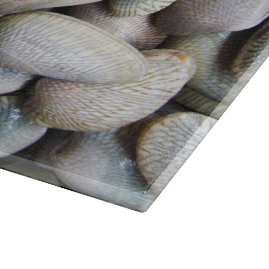 Venus Clam [ห อ ล า ย ย) Snijplank (Hoek)