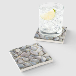 Venus Clam [ห อ ล า ย ย) Stenen Onderzetter