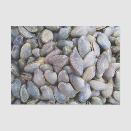 Venus Clam [ห อ ล า ย ย) Tissuepapier (Voorkant)