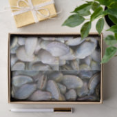 Venus Clam [ห อ ล า ย ย) Tissuepapier (Geschenk)