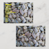 Venus Clam [ห อ ล า ย ย) Visitekaartje (Voorkant / Achterkant)