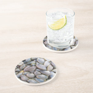 Venus Clam [ห อ ล า ย ย) Zandsteen Onderzetter