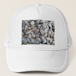 Venus Clam [gestreepte venusschelp] Trucker Pet