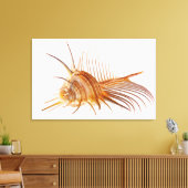 Venus Comb Murex schelp (Murex pectine) tegen Canvas Afdruk (Insitu (Woonkamer))