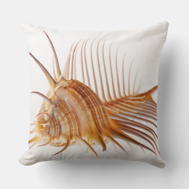 Venus Comb Murex schelp (Murex pectine) tegen Kussen (Voorkant)
