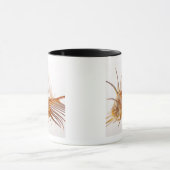 Venus Comb Murex schelp (Murex pectine) tegen Mok (Midden)