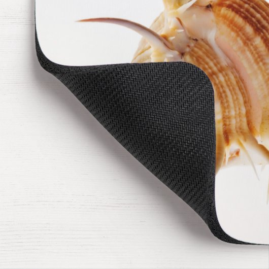 Venus Comb Murex schelp (Murex pectine) tegen Muismat (Hoek)