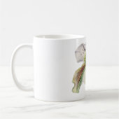 venus (Dame's slipper) Koffiemok (Links)