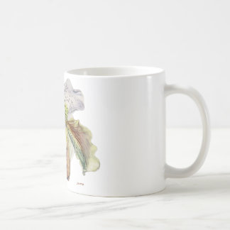 venus (Dame's slipper) Koffiemok