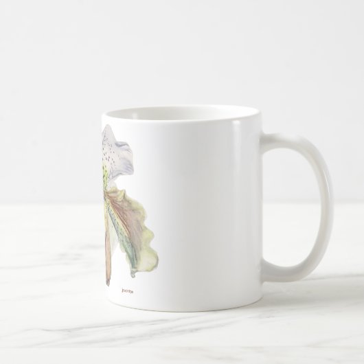 venus (Dame's slipper) Koffiemok (Rechts)