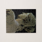 Venus de Milo, details van de achterkant van het h Legpuzzel (Horizontaal)